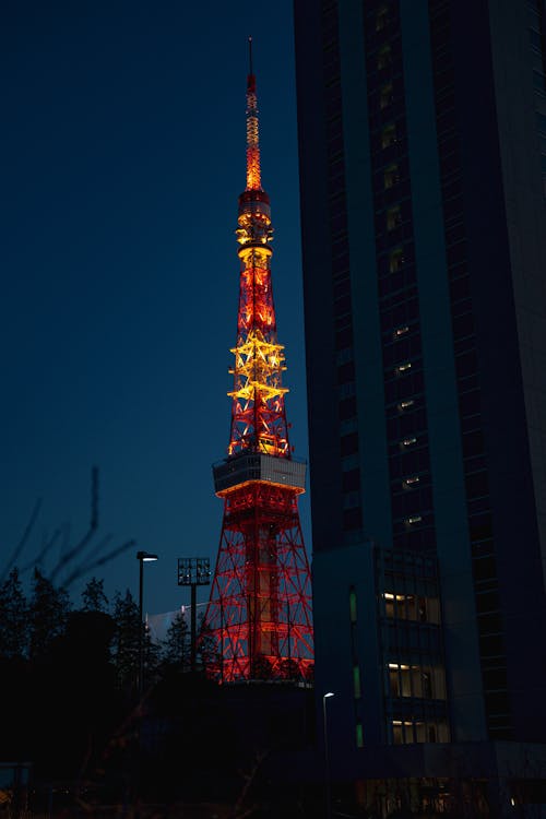 Soothing Tokyo Tower Sight