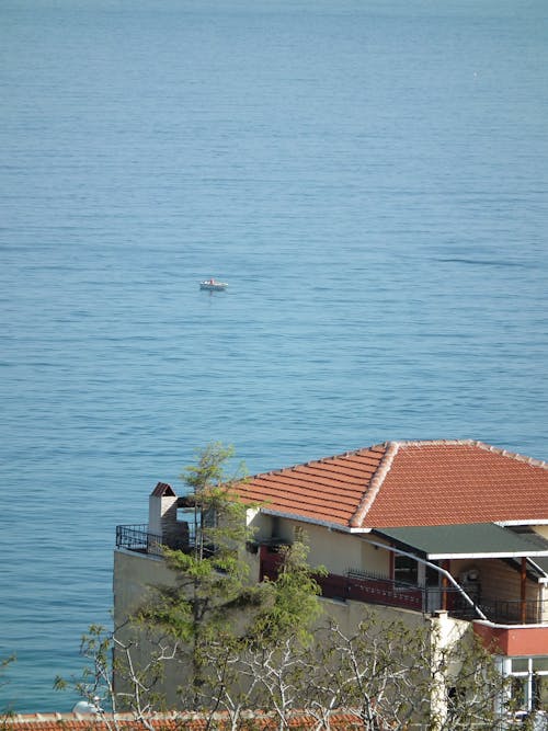 A bird flying over the water near a house