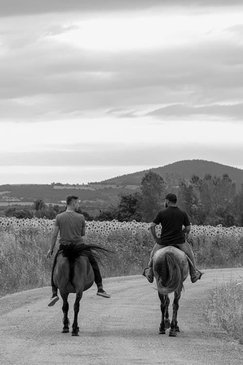 Two men riding horses down a country road