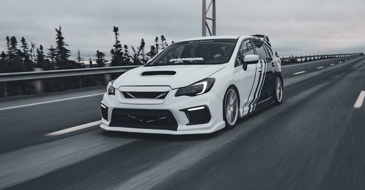 World's Fastest Car Vs Cheetah! | Ultimate Speed Showdown