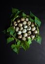 Quail Eggs Near Green-leaf Plant