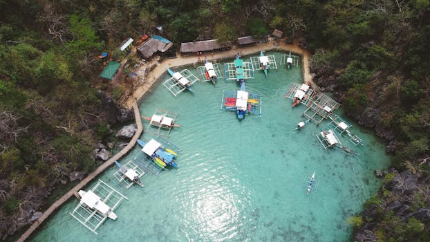 Stunning aerial view of traditional boats moored at Coron Bay, surrounded by lush greenery.