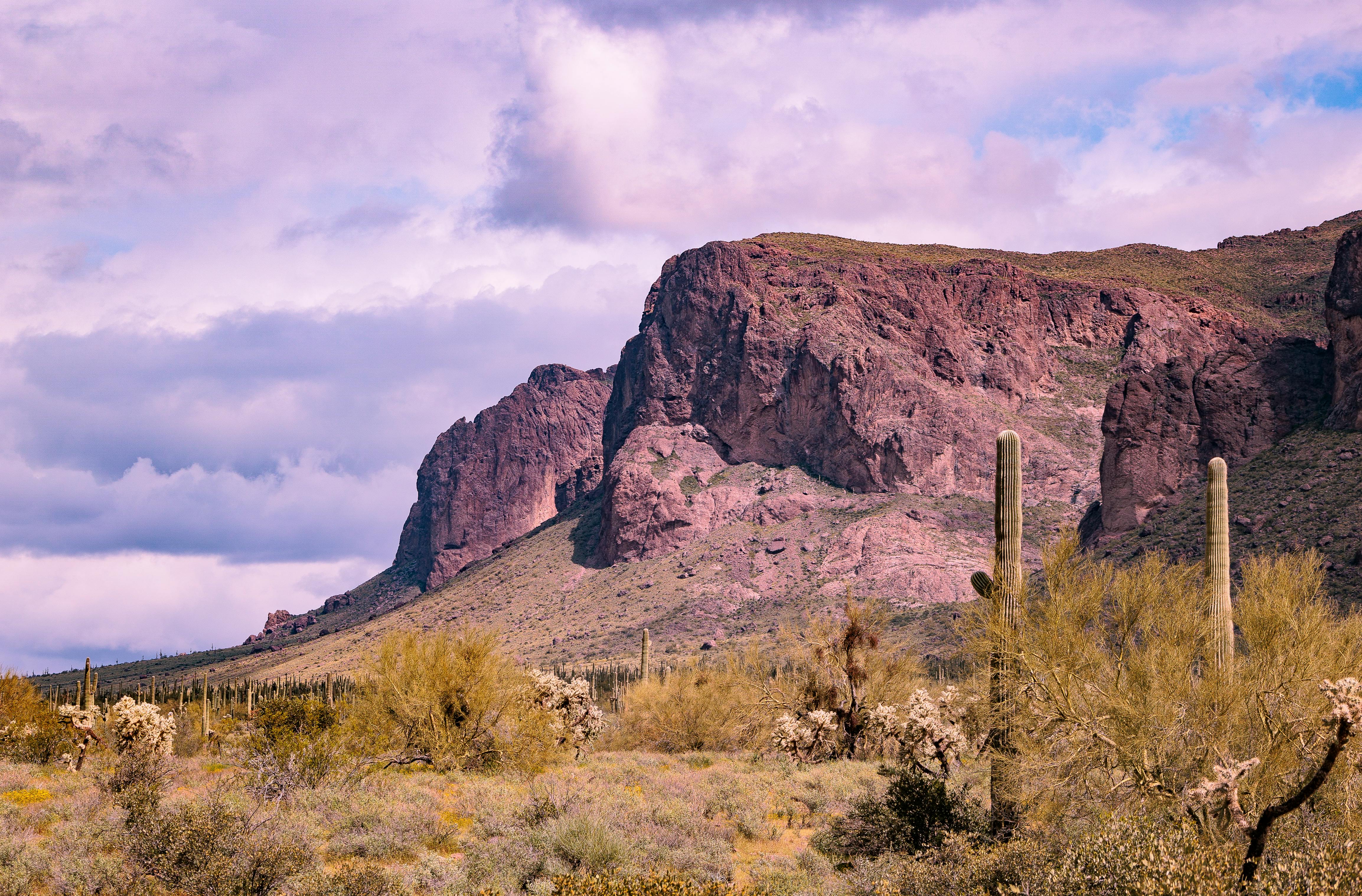 Breathtaking view of rugged mountains and cacti in the Sonoran Desert near Apache Junction, Arizona.