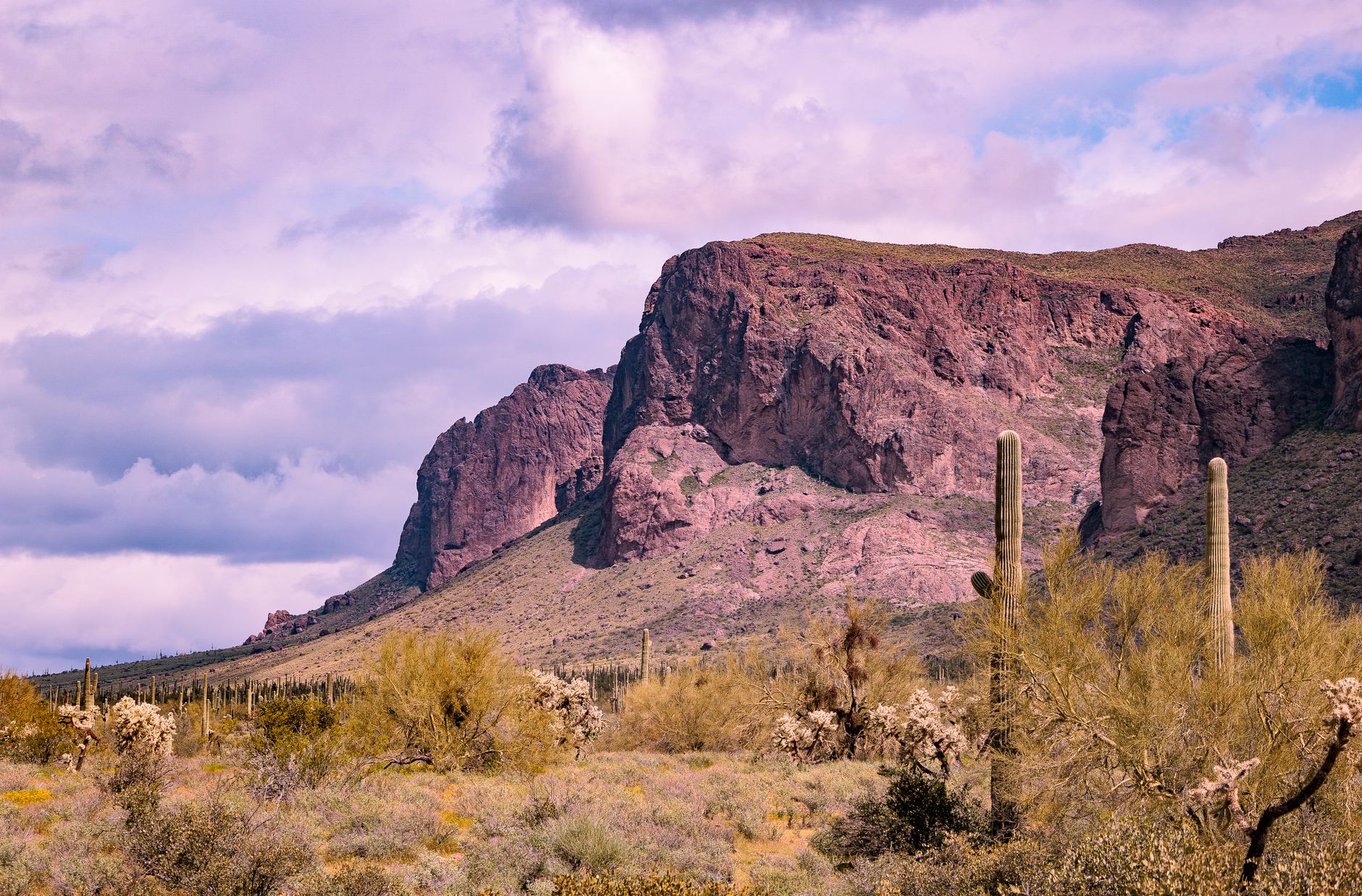 Breathtaking view of rugged mountains and cacti in the Sonoran Desert near Apache Junction, Arizona.