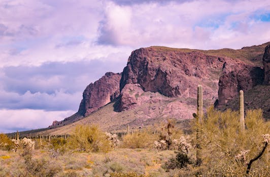 Breathtaking view of rugged mountains and cacti in the Sonoran Desert near Apache Junction, Arizona.