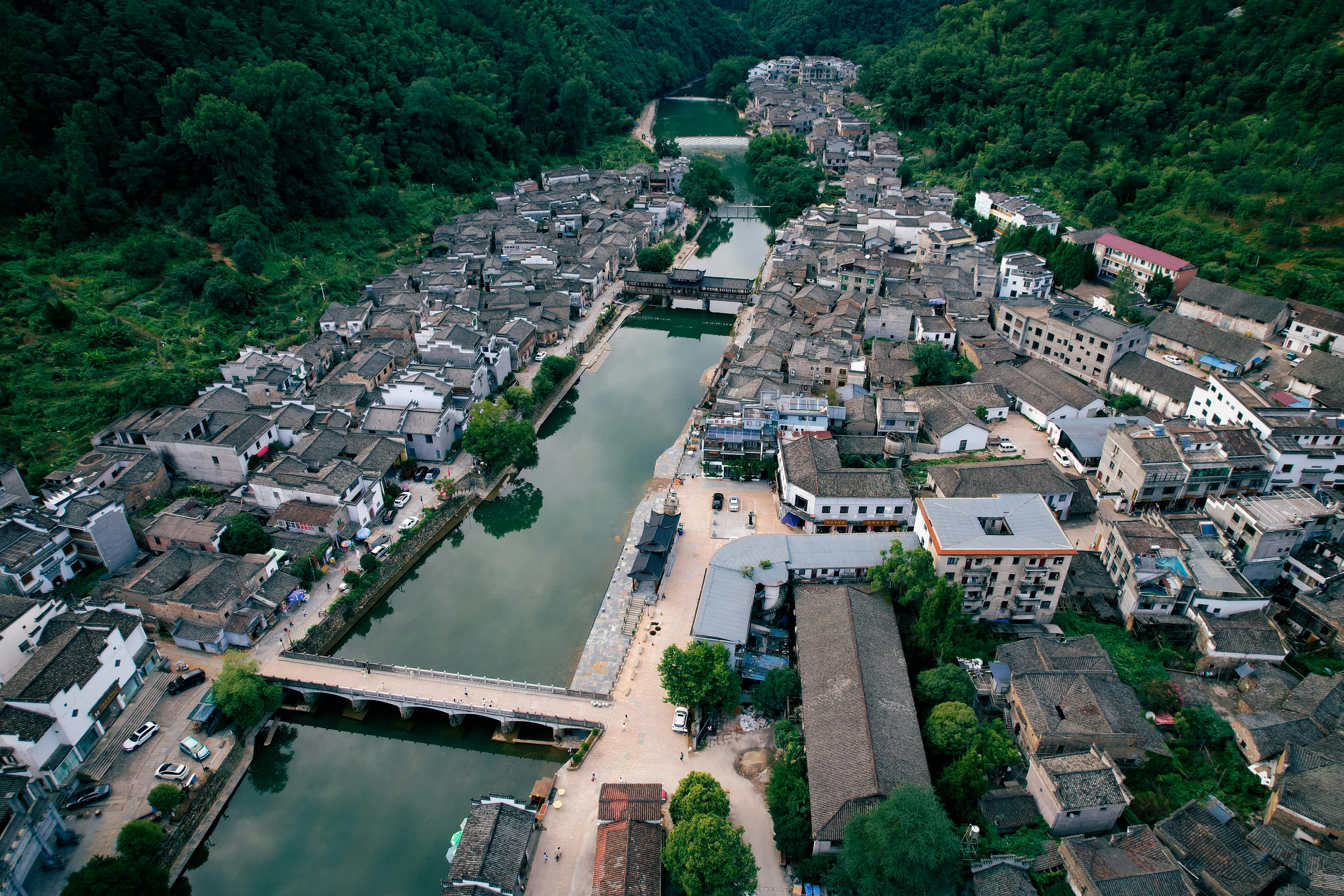 In China, Even Complaining About Property Management Can Be Political — Photo by jason hu on Pexels
