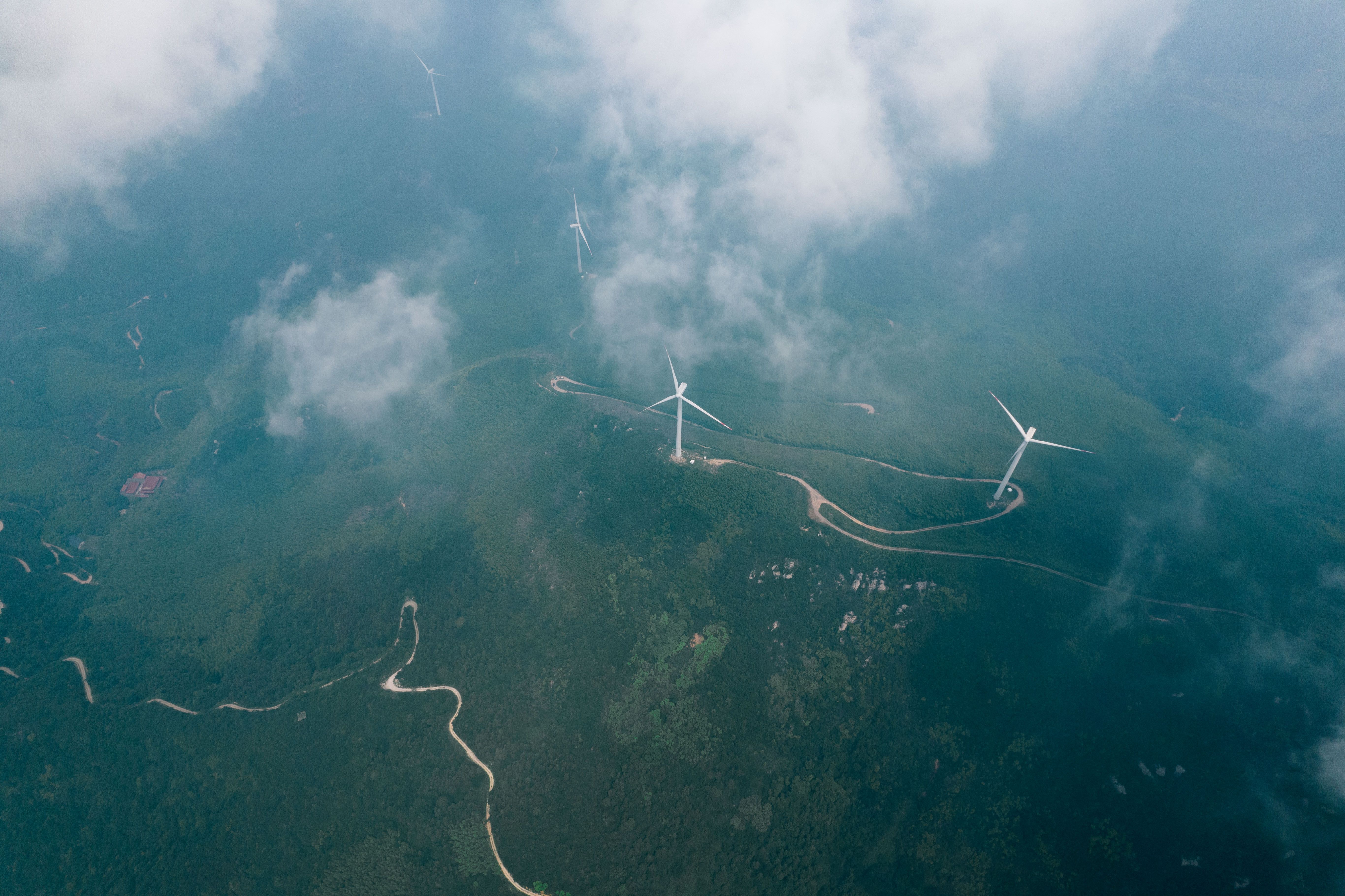 There is nothing new about renewable energy: Tracing the life of solar panels — Photo by jason hu on Pexels