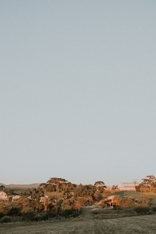 Free Beautiful rural landscape with trees and clear sky during golden hour, ideal for backgrounds. Stock Photo