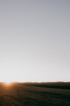 Peaceful sunrise illuminating a rural field, capturing nature's calm beauty.