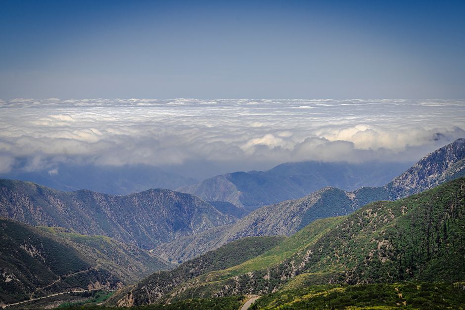A breathtaking aerial view of lush green mountains peeking above the clouds in Los Angeles.