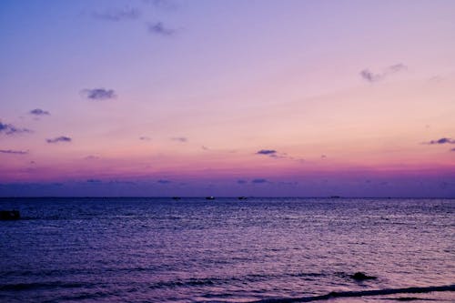 Fotos de stock gratuitas de fondo del océano, fondo violeta, hermoso atardecer