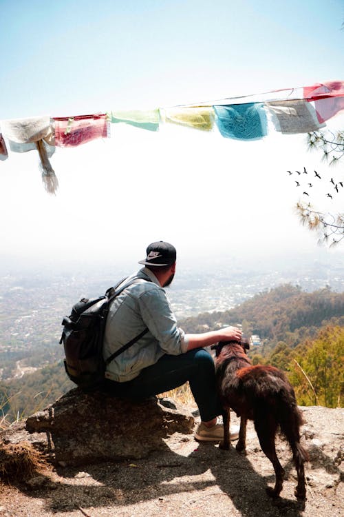 Uomo Che Si Siede Sulla Roccia Petting Cane All'aperto