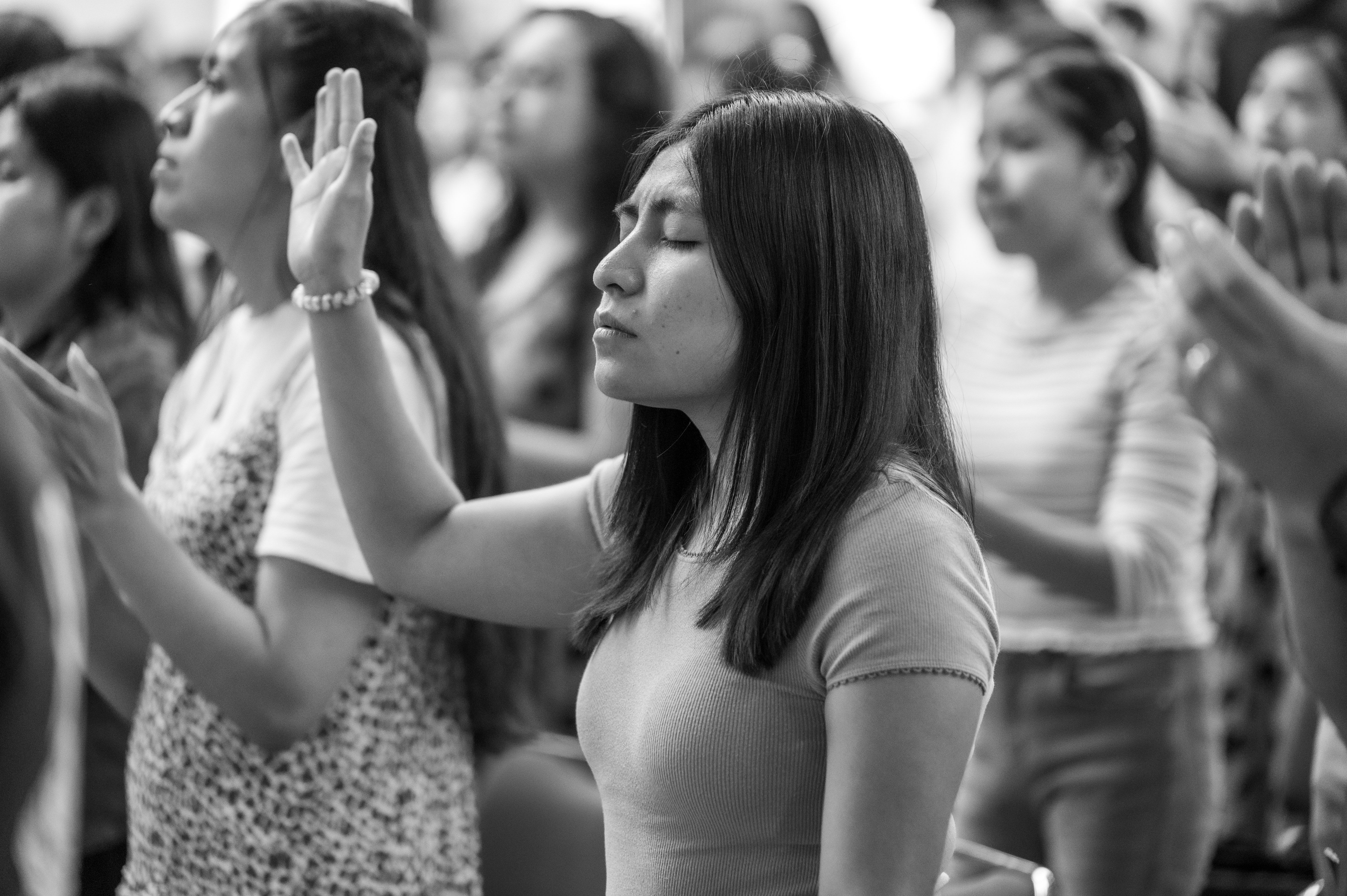Year of St. Francis Parish Events — St. Francis of Assisi Catholic Church