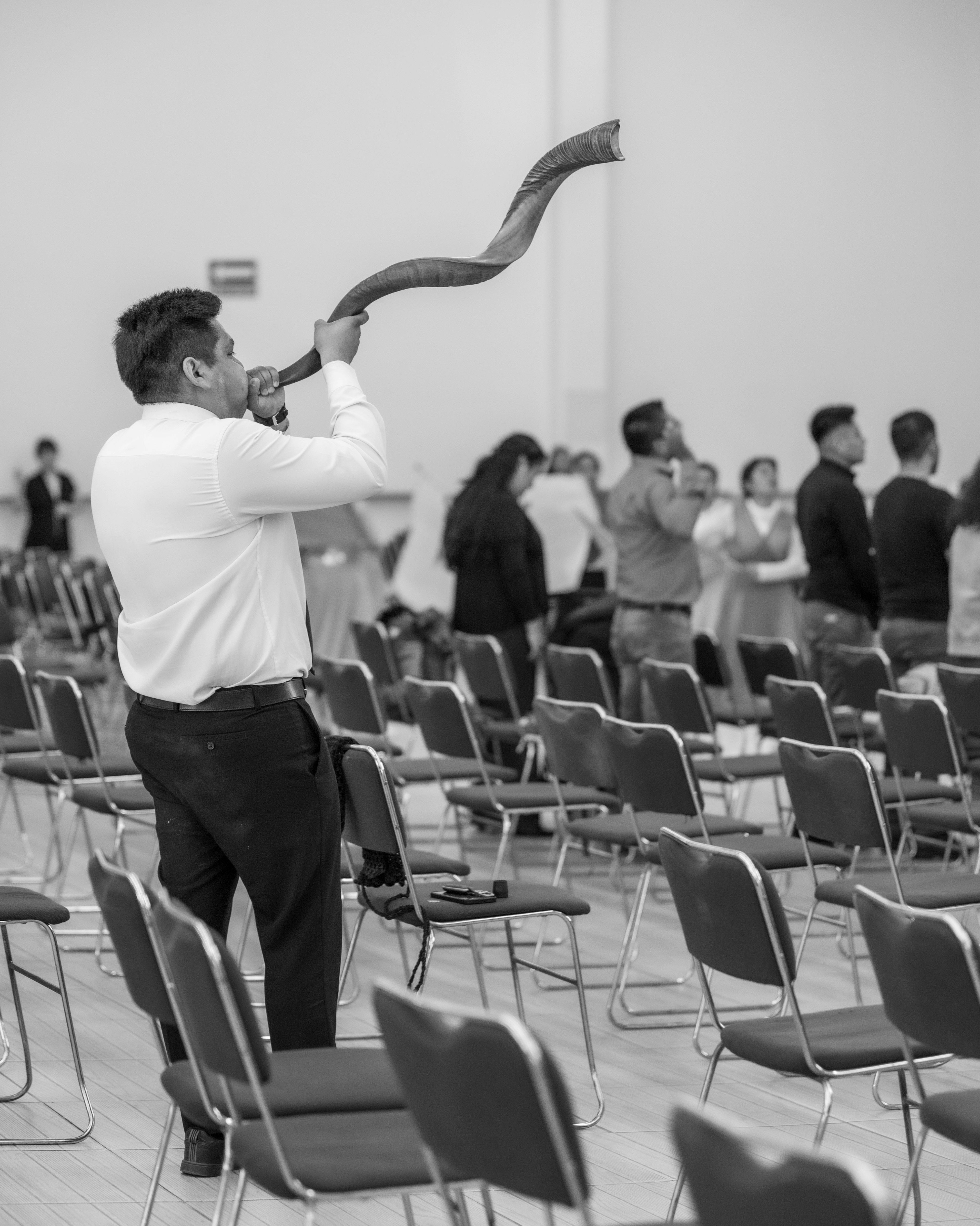 grátis Foto profissional grátis de acontecimento, admiração, alegre. feliz Foto profissional