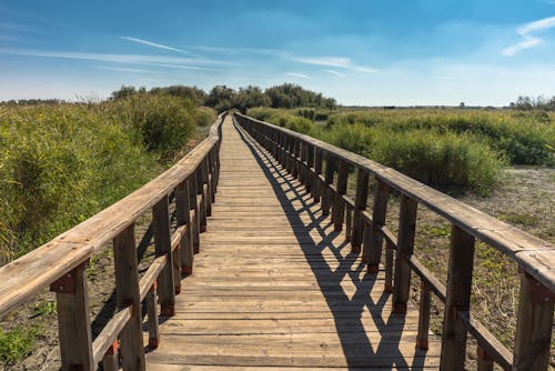 бесплатная Коричневый деревянный мост Стоковое фото