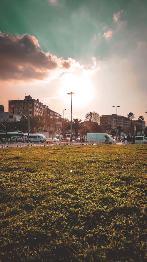 Fotobanka s bezplatnými fotkami na tému jedlo, الأصفر, الحضاري