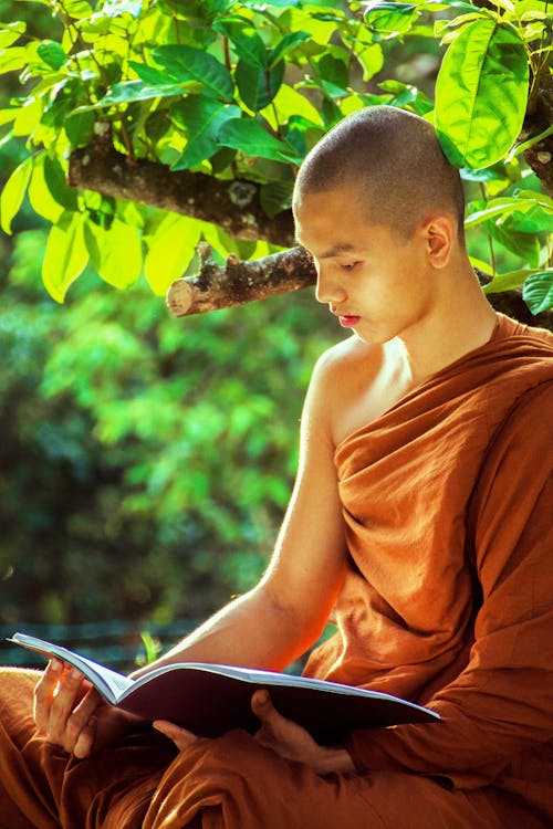 Monk Sitting Beside Tree While Reading Book