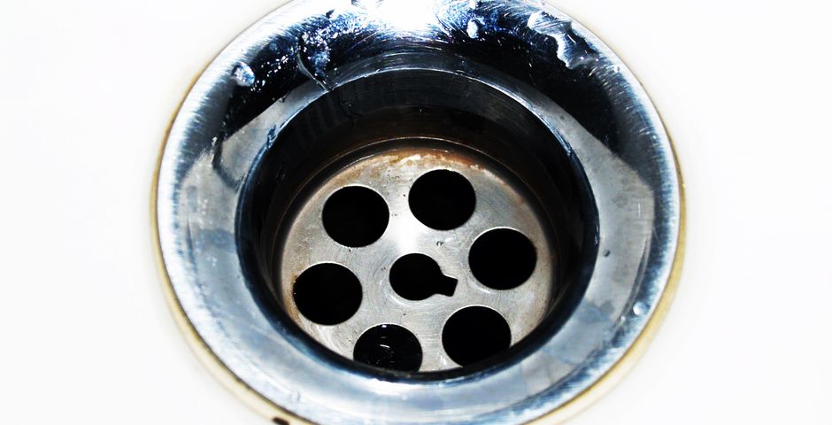 A stainless steel kitchen sink drain — when the U-bend below dries out, it becomes an open corridor