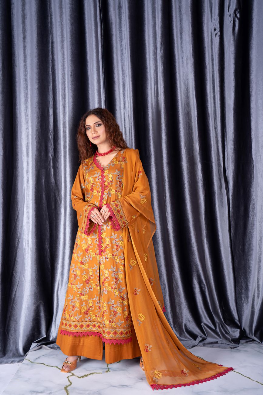 Embroidered Kurta Luxurious Design Perfect