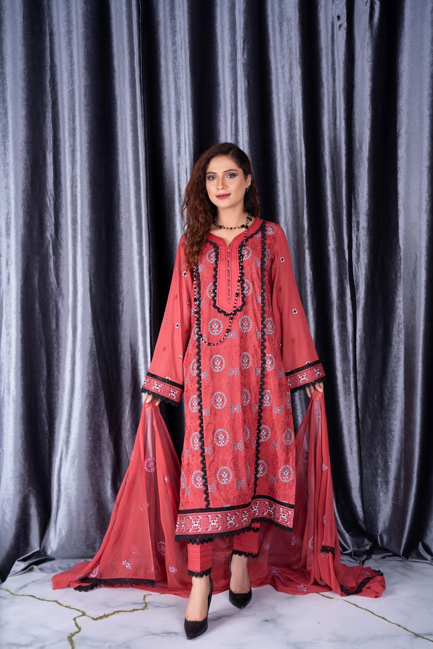 Elegant Pakistani Traditional Dress