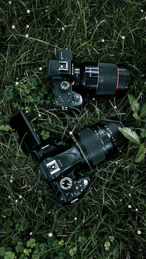 Two cameras sitting in the grass with a flower