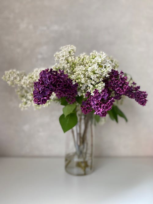 Foto profissional grátis de amor, arranjo de flores, buquê