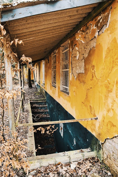 버려진 건물, 버려진 장소, 잃어버린 장소의 무료 스톡 사진