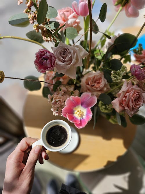 Çiçekler, Kahve içeren Ücretsiz stok fotoğraf