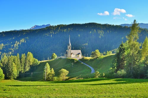 бело серая расписная церковь на вершине холма в окружении деревьев