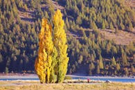 湖畔绿树成荫，远山层峦叠嶂，是自然爱好者的理想去处