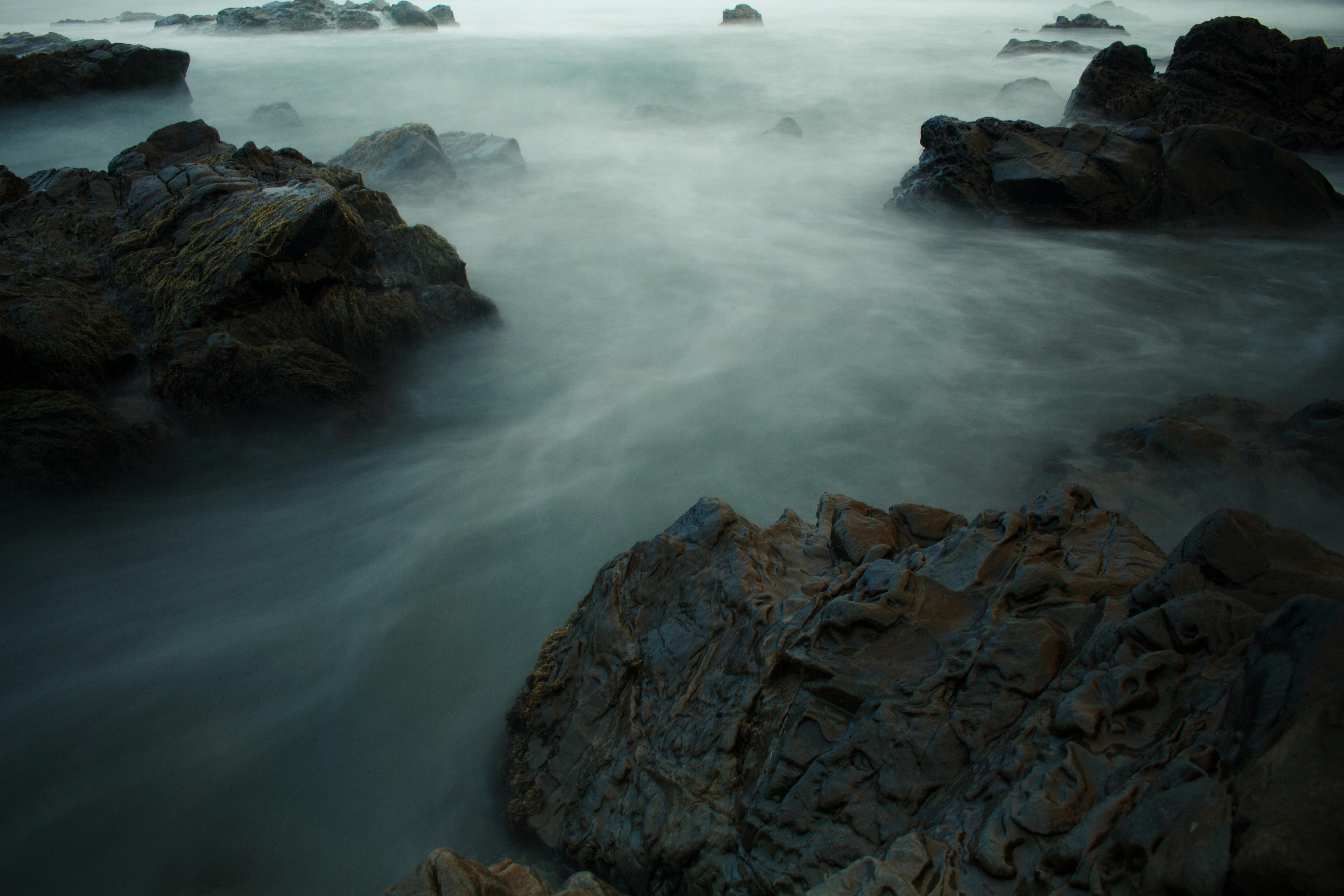 印度香料和草药,包括姜黄