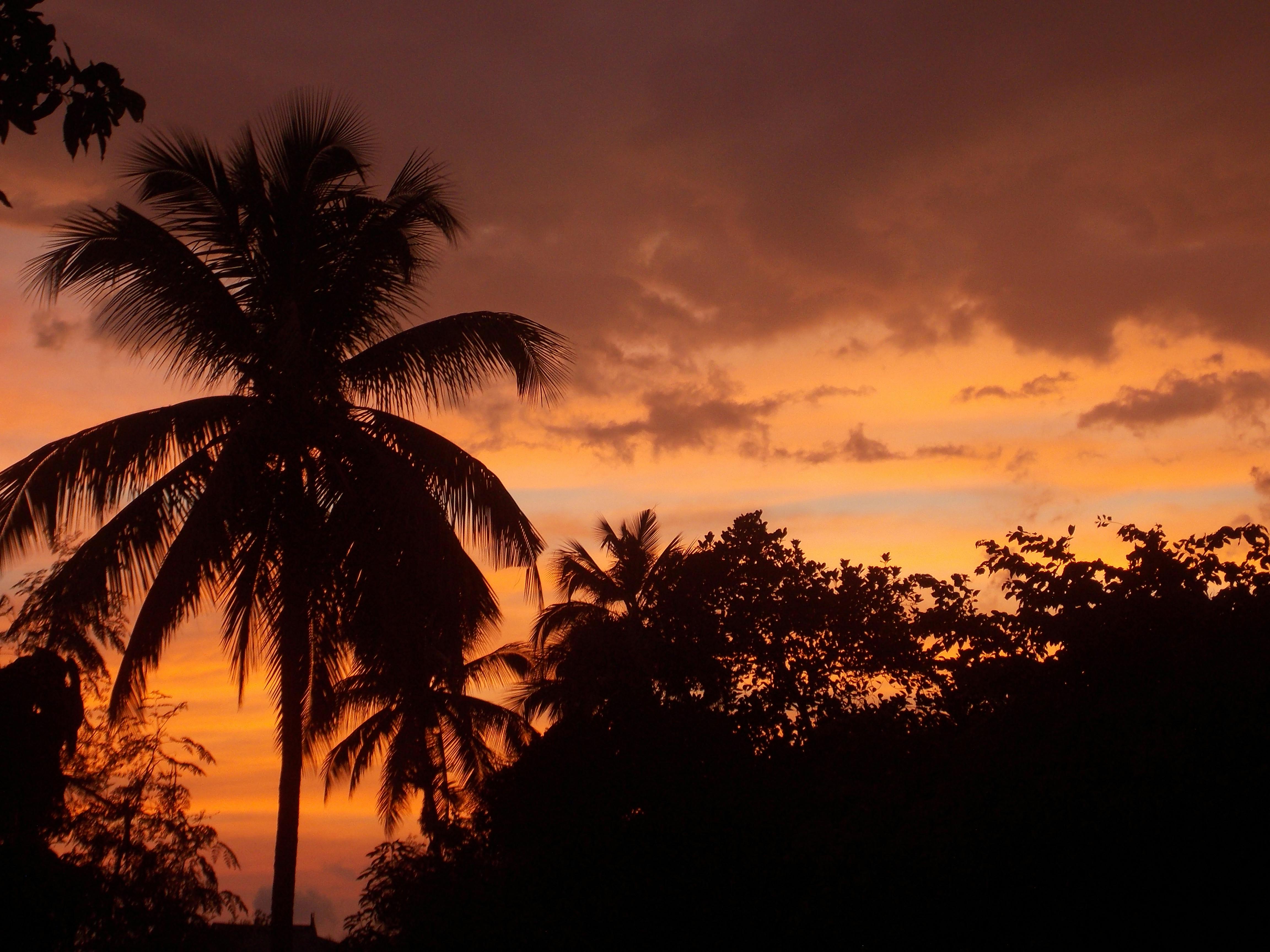 Free stock photo of atmospheric evening, evening, evening sky