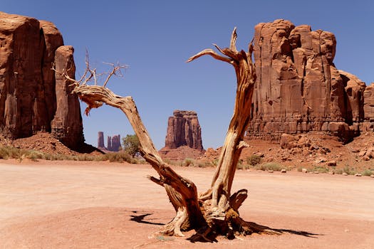 A captivating barren landscape with a dry tree and iconic sandstone formations in Monument Valley.