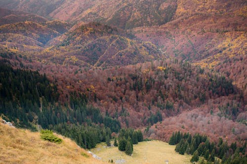 คลังภาพถ่ายฟรี ของ carpathian, Instagram, กลางแจ้ง