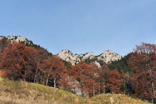 Gratis lagerfoto af 4k-baggrund, baggrund, bjerg tapet