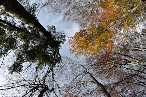 Gratis lagerfoto af 4k-baggrund, baggrund, bjerge fotografi