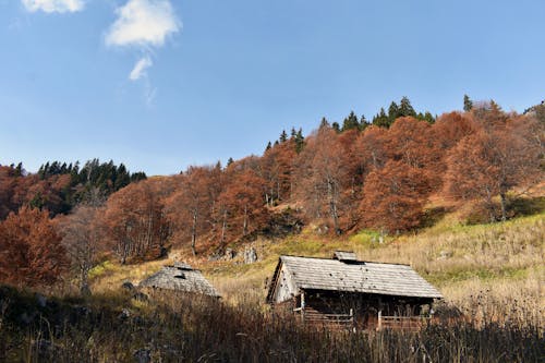 คลังภาพถ่ายฟรี ของ carpathian, Instagram, กระท่อม