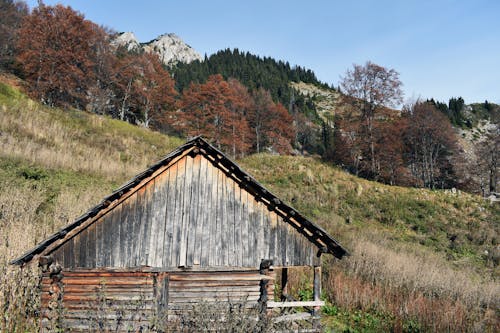 คลังภาพถ่ายฟรี ของ carpathian, Instagram, กระท่อม