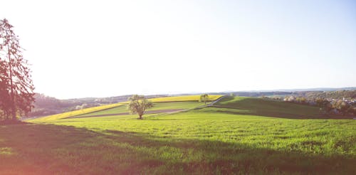 Free stock photo of beautiful landscape, landscape, summer