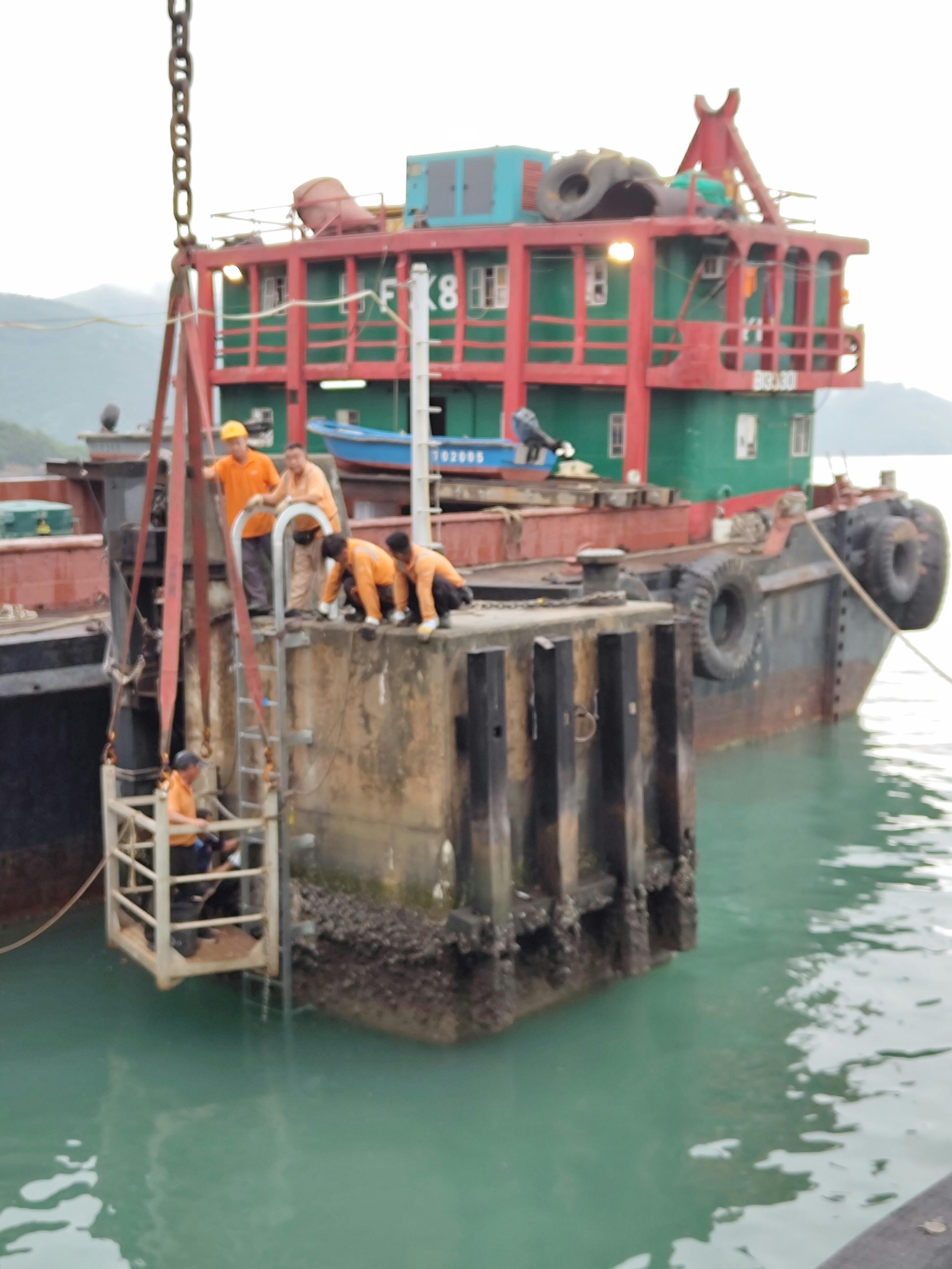 David Lomax Photography