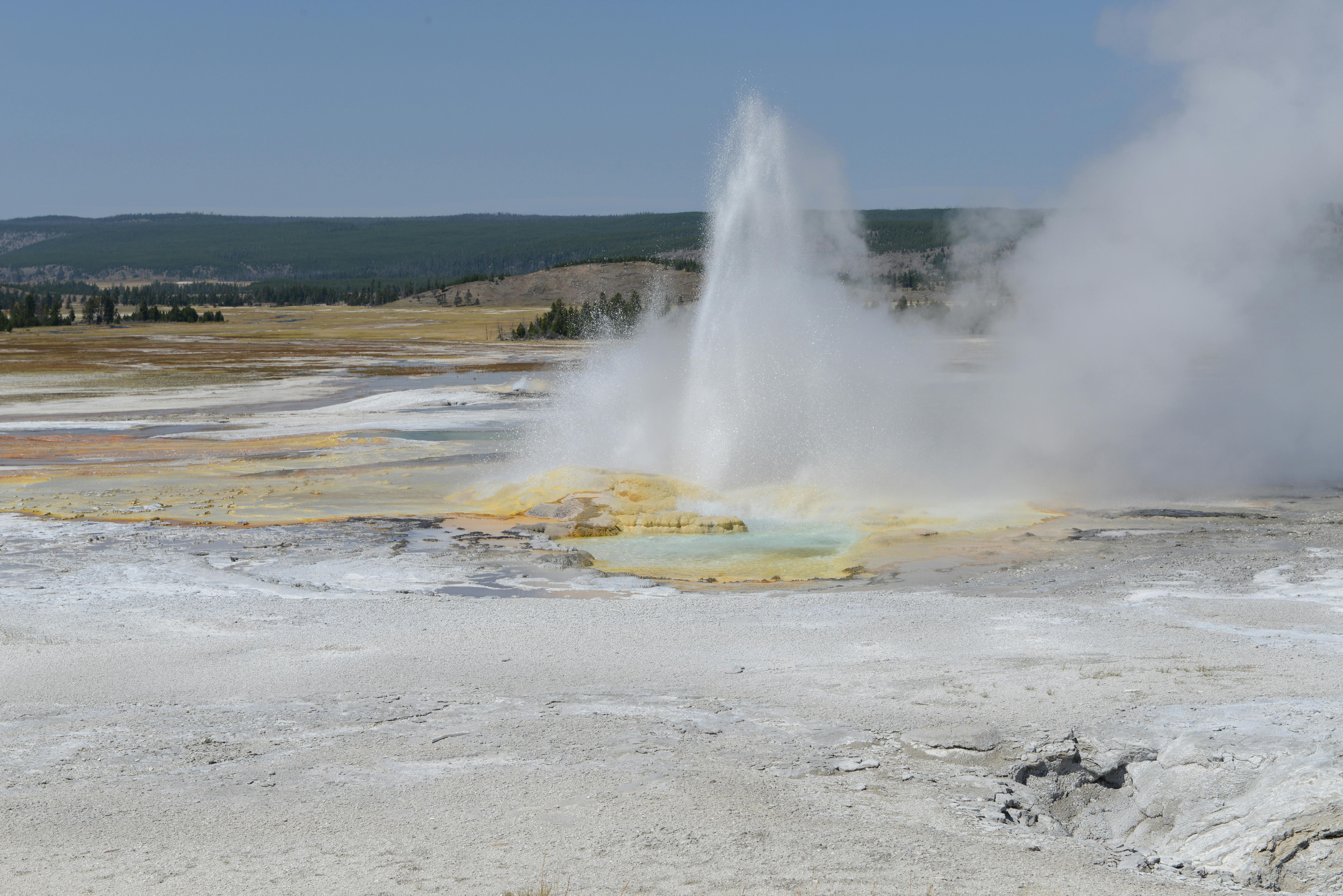 echinus geyser