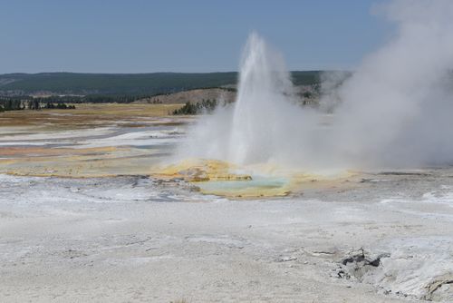 Free A breathtaking view of a geyser erupting in Yellowstone National Park, USA. Stock Photo