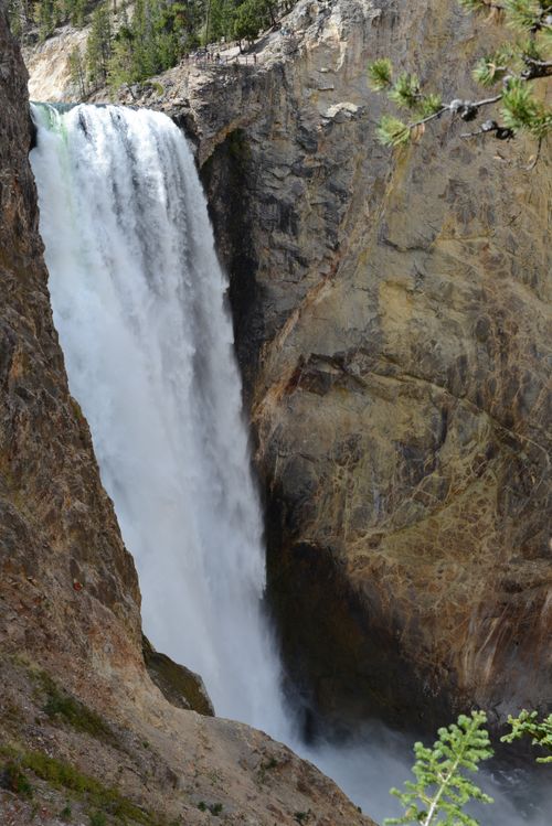 Free Stunning view of Yellowstone's Upper Falls cascading into rocky cliffs. Stock Photo