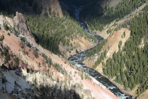 Free Breathtaking aerial view of the Yellowstone River winding through a lush canyon. Stock Photo
