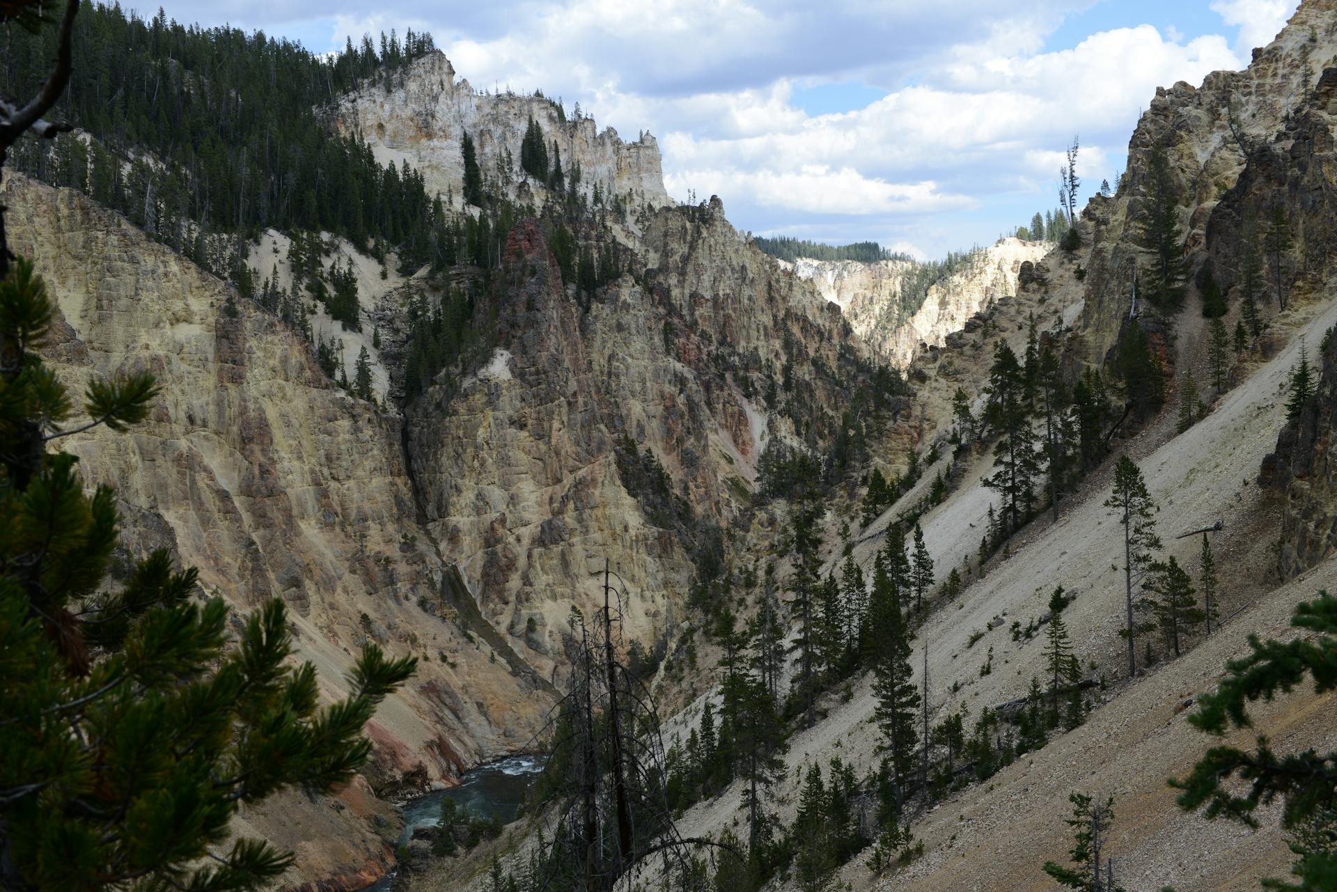 Explore the majestic landscape of the Grand Canyon of the Yellowstone with vibrant cliffs and lush conifers.