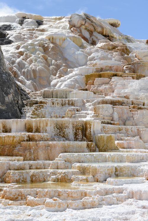 Free Sunlit travertine terraces at Mammoth Hot Springs, Yellowstone, showcasing natural geological beauty. Stock Photo