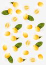 Lemons on White Background