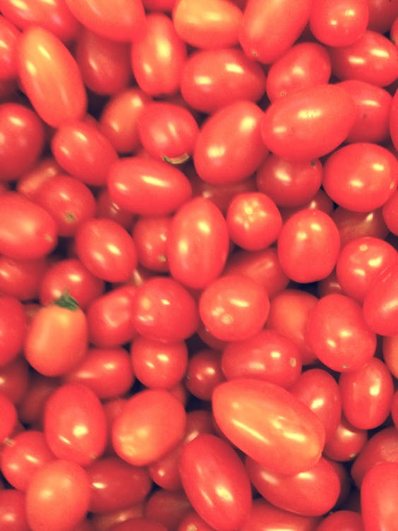 Kostenlos Tomatenfrucht Stock-Foto