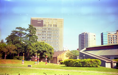 Urban Grass Field