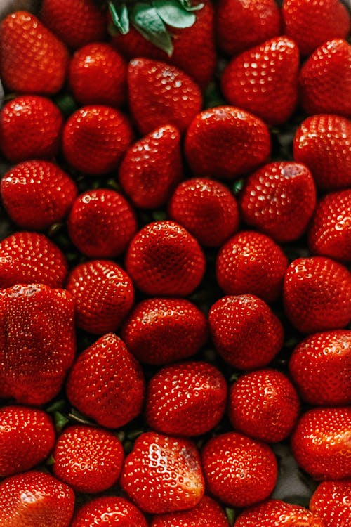 Free Red Strawberries Stock Photo